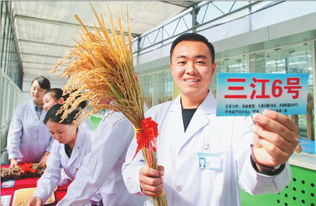 均龄32岁 青春的风采 记北大荒建三江国家农业科技园区研发中心团队